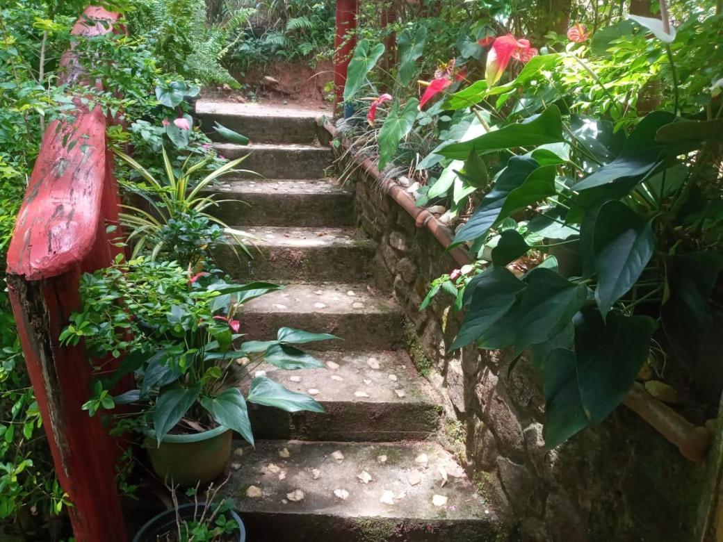 Nethsara Cottage Ella Εξωτερικό φωτογραφία
